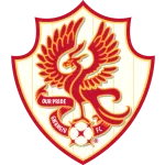 Away Team Logo